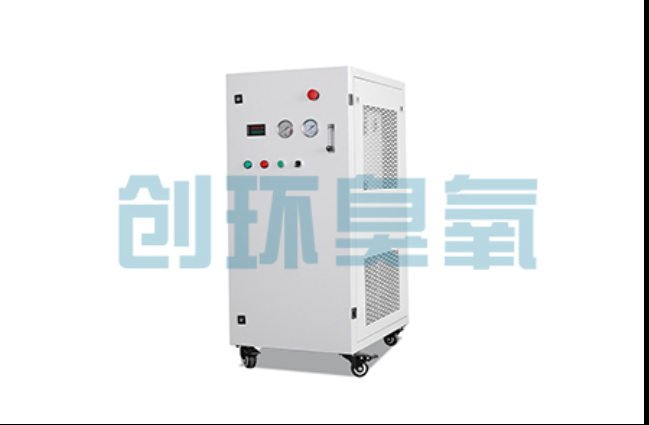 石景山工厂化养鲈必看：2026年臭氧发生器替代传统消毒的最新方案