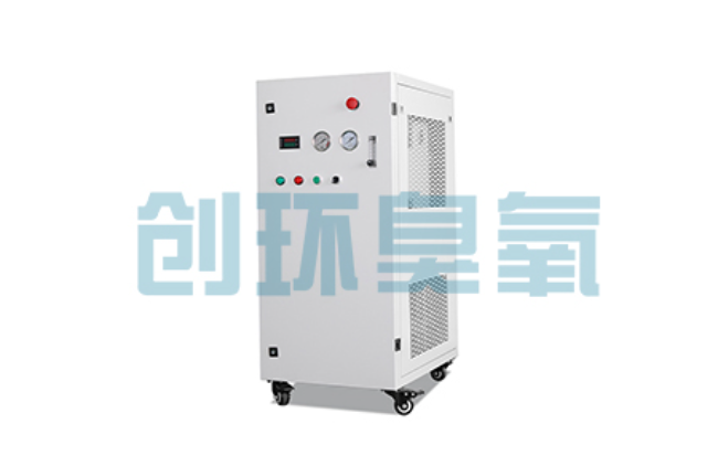 石景山比传统换水更高效？臭氧发生器在石斑鱼养殖中的水质净化原理解析